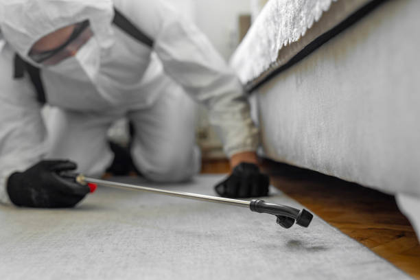 Professional Bed Bug Control technician working in West Mountain, UT