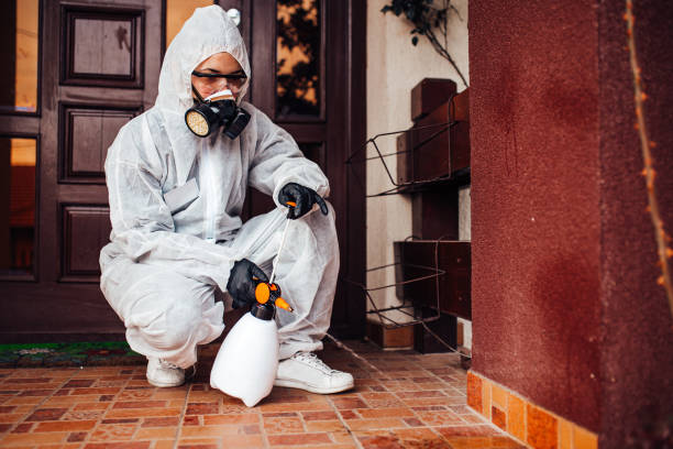 Reliable Bed Bug Control contractor in West Mountain, UT by Nex Pest Control